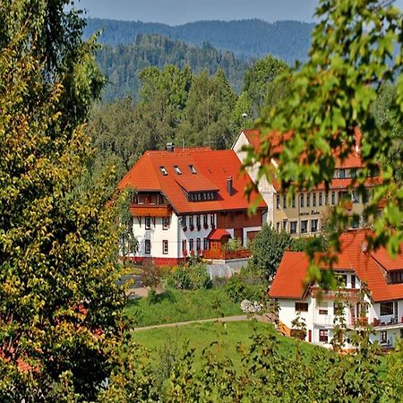 Апартаменты Haus Schlageter Dachsberg im Schwarzwald Экстерьер фото