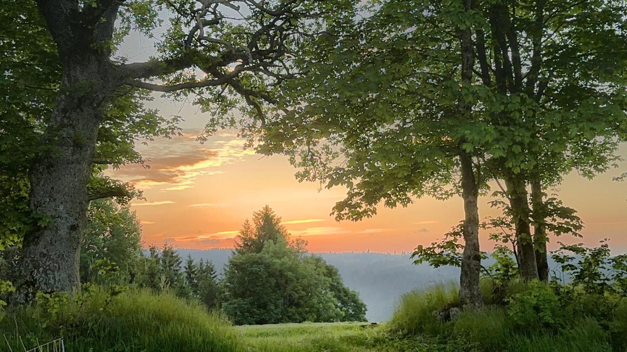 Апартаменты Haus Schlageter Dachsberg im Schwarzwald Экстерьер фото