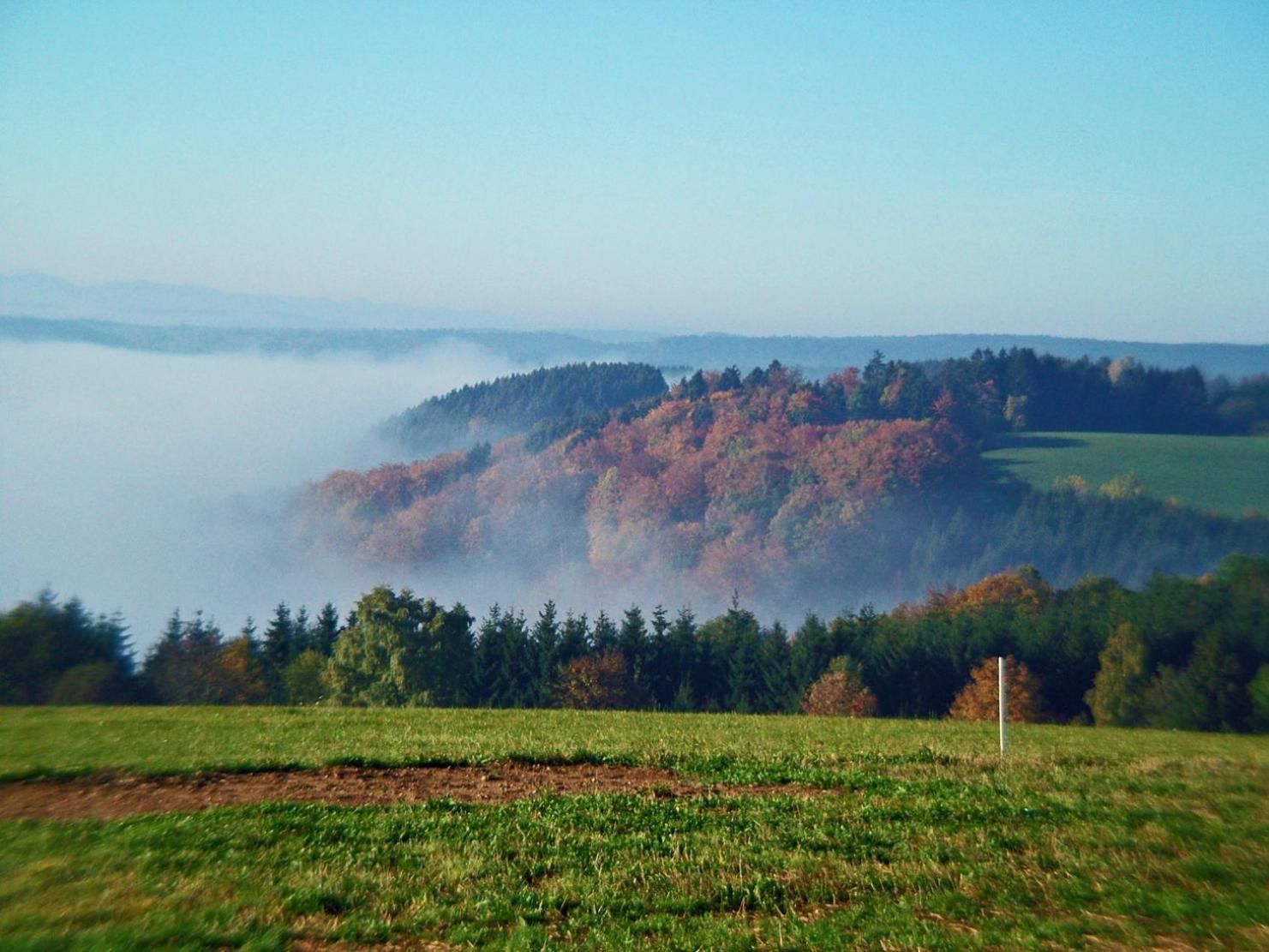 Апартаменты Haus Schlageter Dachsberg im Schwarzwald Экстерьер фото