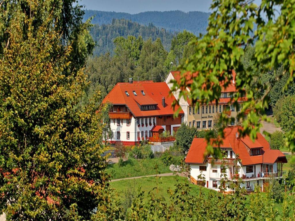 Апартаменты Haus Schlageter Dachsberg im Schwarzwald Экстерьер фото